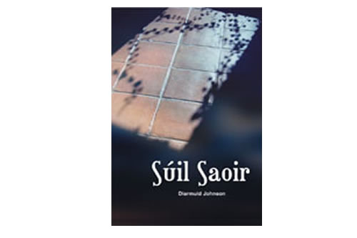 Súil Saoir – Diarmuid Johnson