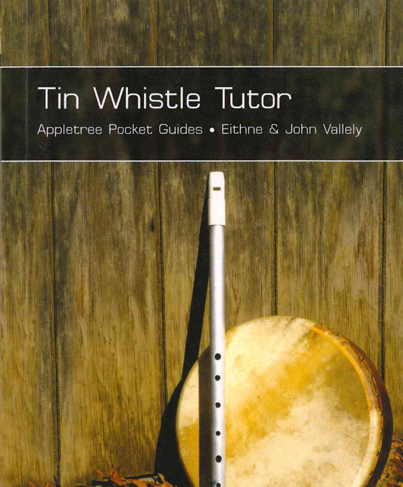 Tin Whistle Tutor - Eithne & John Valley
